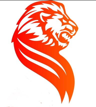 Singam Tech